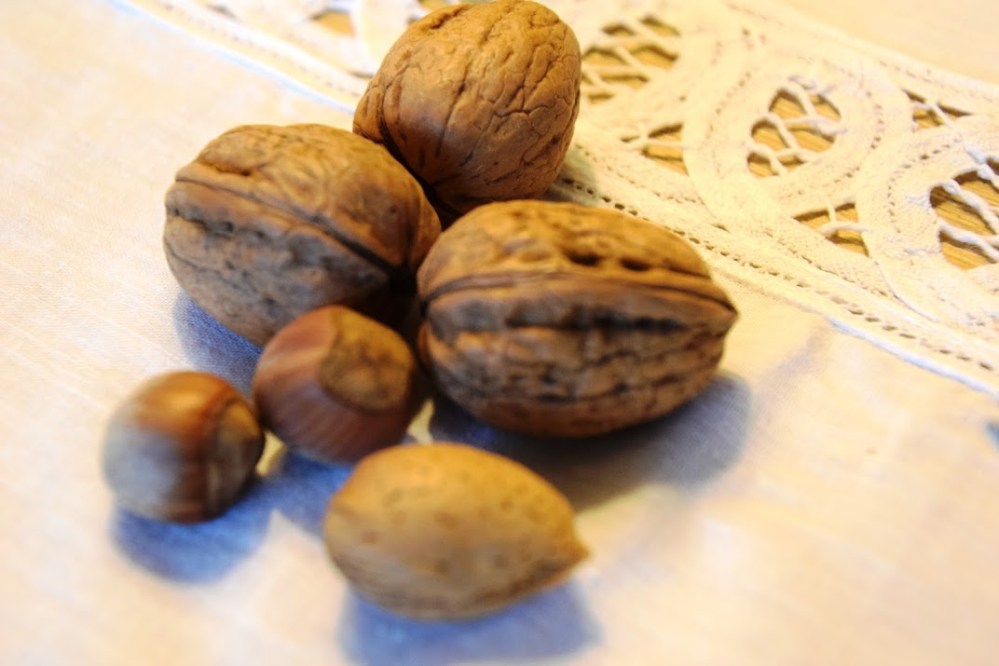 Noci e nocciole